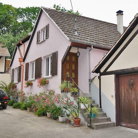 La Maison Fleurie Gites Du Florimont Ingersheim Buitenkant foto